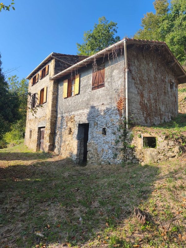 pentavano in vendita a Pigna