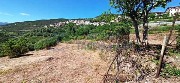 terreno agricolo in vendita a Pompeiana