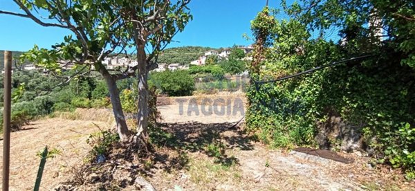 terreno agricolo in vendita a Pompeiana