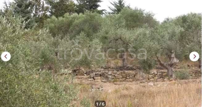 terreno agricolo in vendita a Pompeiana