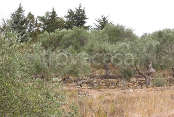terreno in vendita a Pompeiana