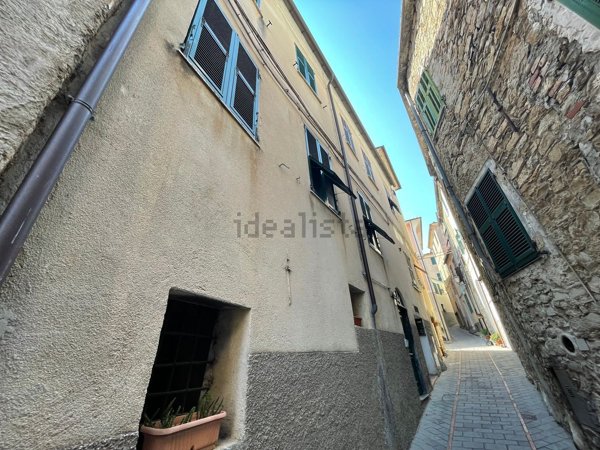 esavano in vendita a Pontedassio in zona Villa Viani