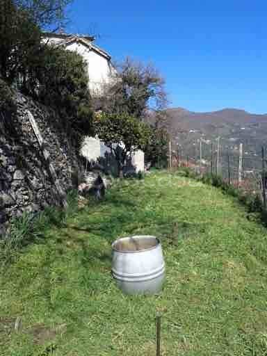 casa indipendente in vendita a Pontedassio in zona Bestagno