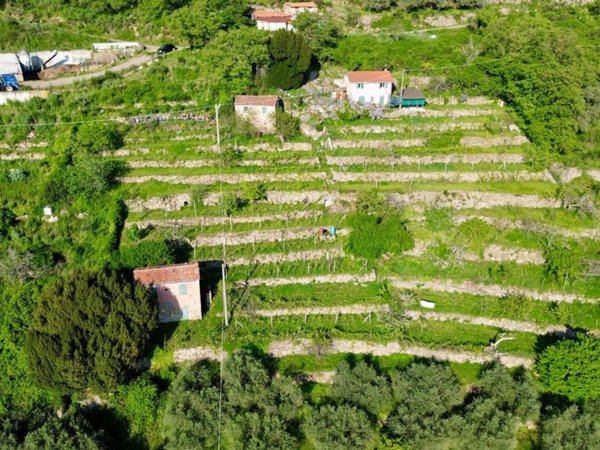 casa indipendente in vendita a Pontedassio