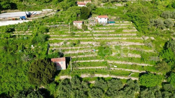 casa indipendente in vendita a Pontedassio