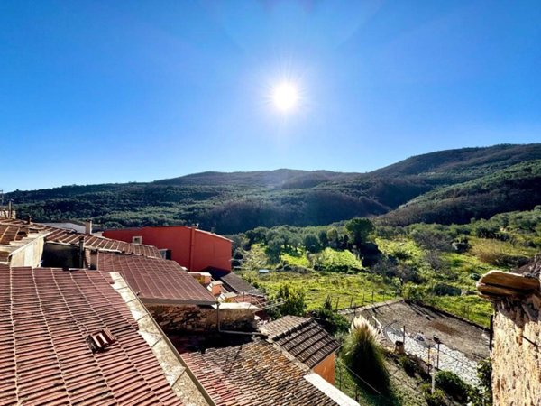 casa indipendente in vendita a Pontedassio in zona Villa Viani
