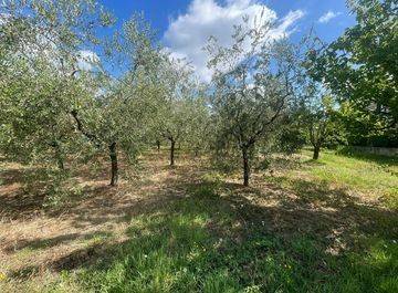 terreno agricolo in vendita a Pontedassio
