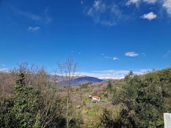 casa indipendente in vendita a Pontedassio