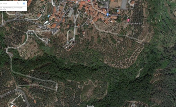 terreno agricolo in vendita a Pontedassio in zona Villa Viani