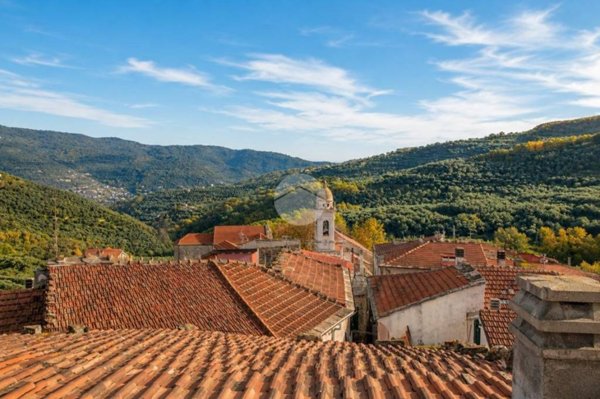casa indipendente in vendita a Pontedassio in zona Villa Viani