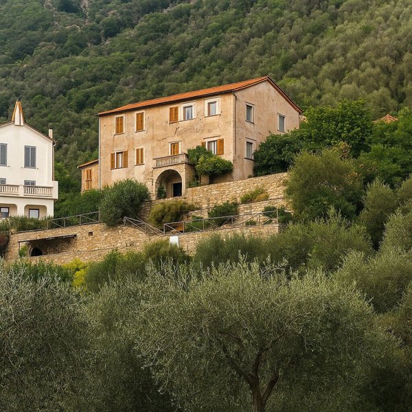 casa indipendente in vendita a Pontedassio in zona Villa Viani