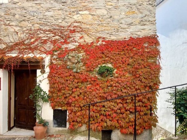 casa indipendente in vendita a Prelà in zona Villatalla