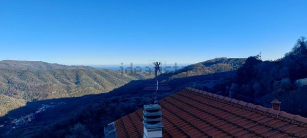 pentavano in vendita a Prelà in zona Valloria