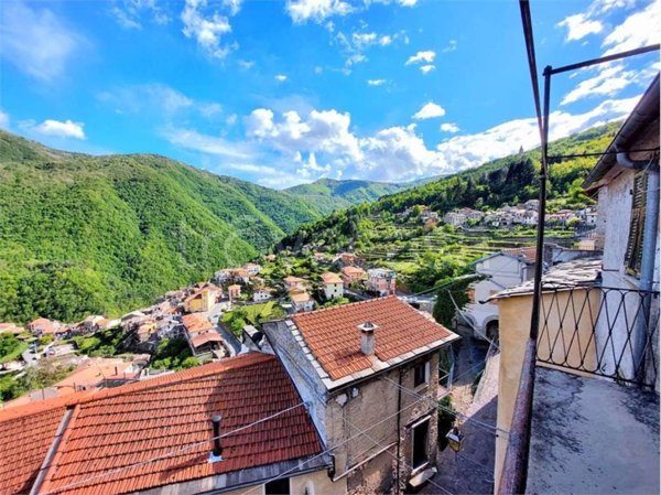 casa indipendente in vendita a Rezzo