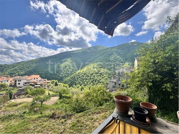 casa indipendente in vendita a Rezzo