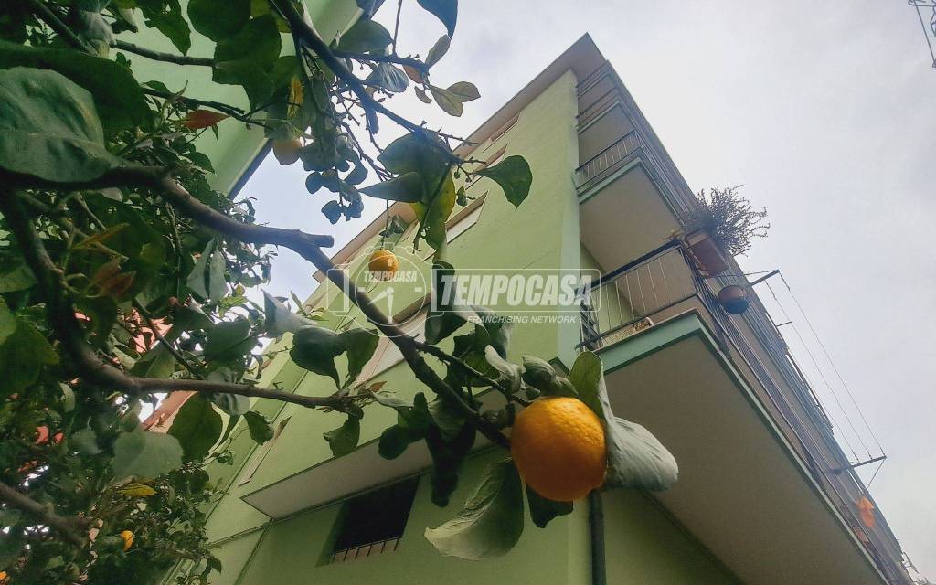 appartamento in vendita a Riva Ligure