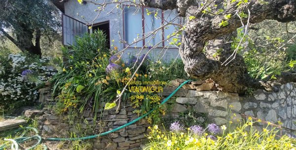 terreno agricolo in vendita a Rocchetta Nervina