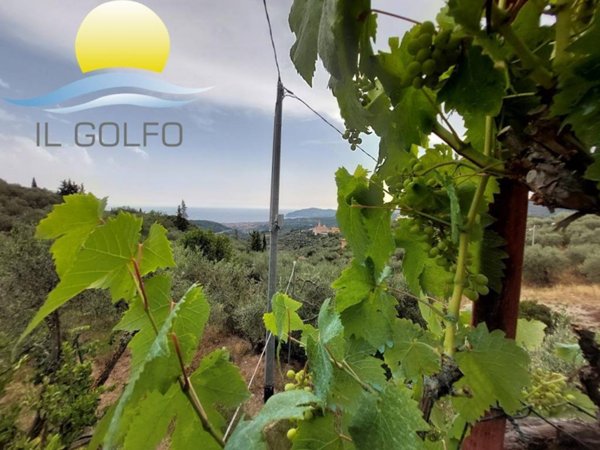 locale di sgombero in vendita a San Bartolomeo al Mare