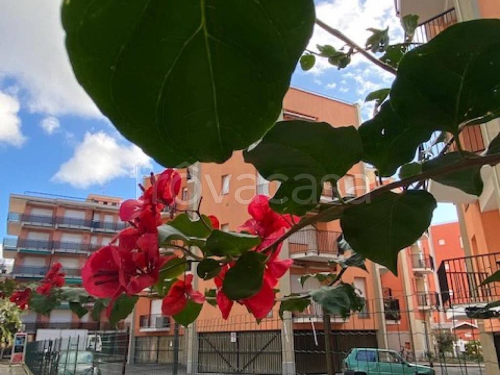 appartamento in vendita a San Bartolomeo al Mare