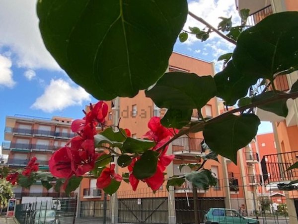 appartamento in vendita a San Bartolomeo al Mare