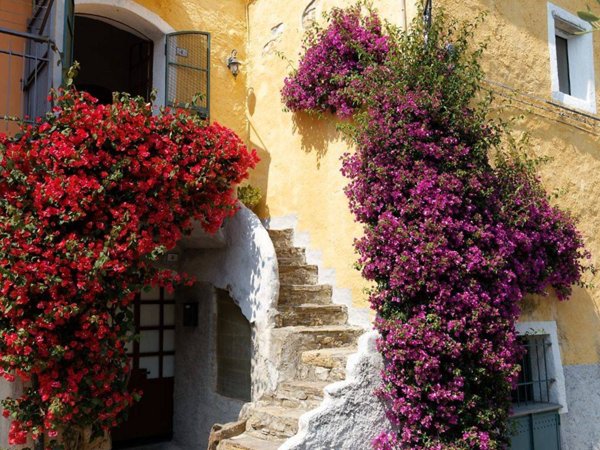 casa indipendente in vendita a San Bartolomeo al Mare in zona Pairola