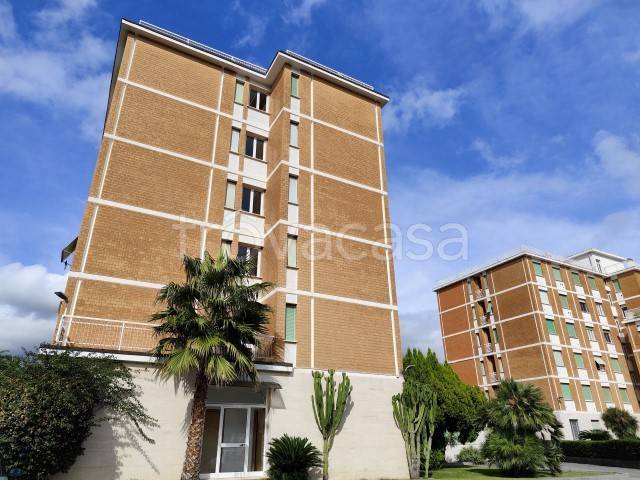 appartamento in vendita a San Bartolomeo al Mare