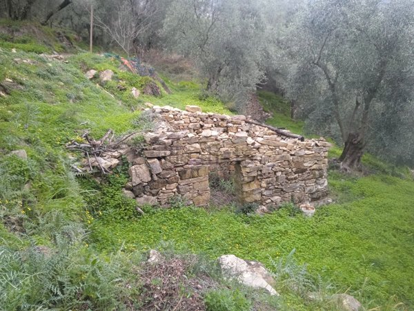 rudere in vendita a San Bartolomeo al Mare