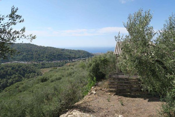 casa indipendente in vendita a San Bartolomeo al Mare in zona Chiappa