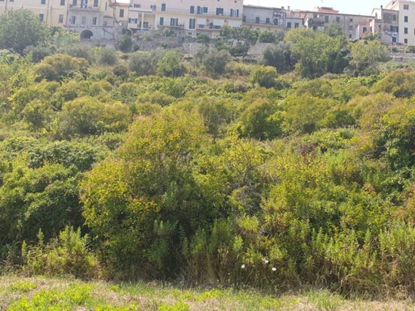 casa indipendente in vendita a San Bartolomeo al Mare