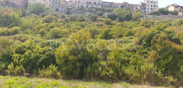 azienda agricola in vendita a San Bartolomeo al Mare in zona Pairola