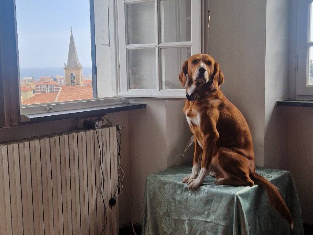 appartamento in vendita a San Bartolomeo al Mare