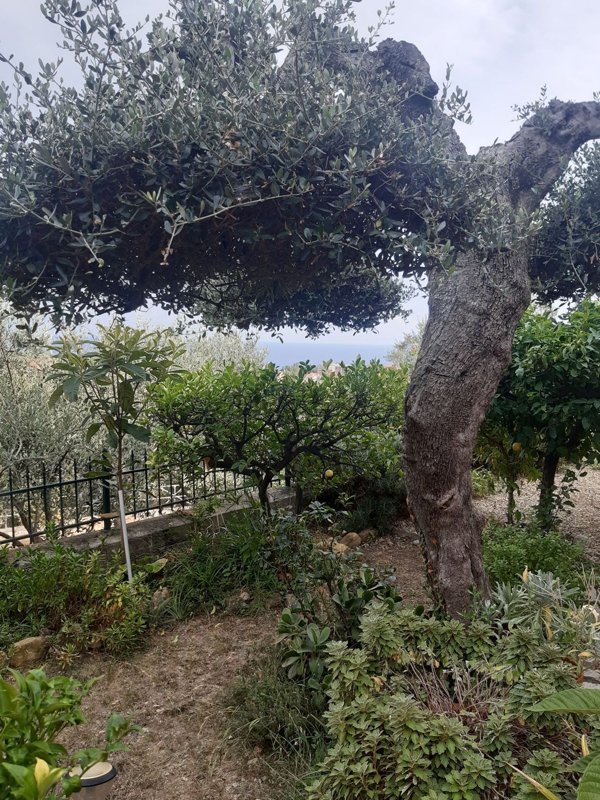 appartamento in vendita a San Bartolomeo al Mare