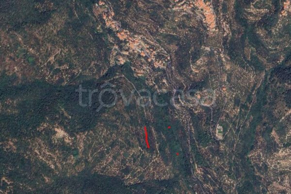terreno agricolo in vendita a San Bartolomeo al Mare in zona Chiappa