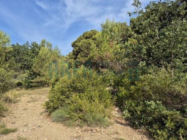 terreno edificabile in vendita a San Bartolomeo al Mare