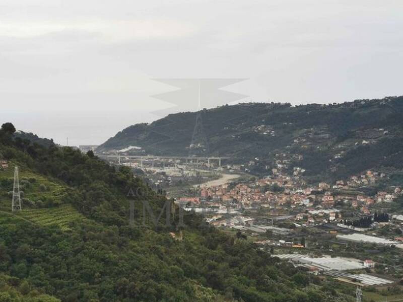terreno agricolo in vendita a San Biagio della Cima