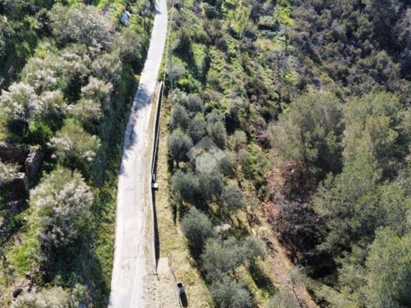 terreno agricolo in vendita a San Biagio della Cima
