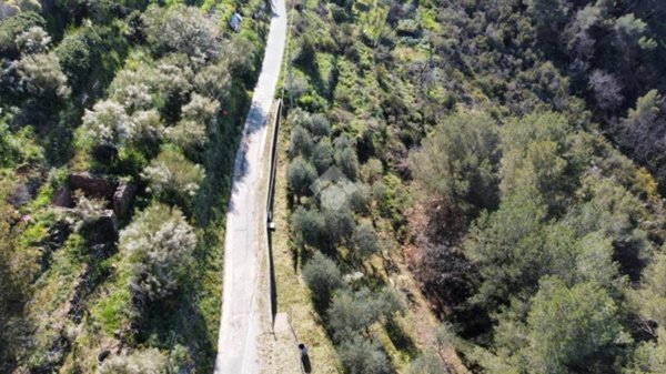 terreno agricolo in vendita a San Biagio della Cima