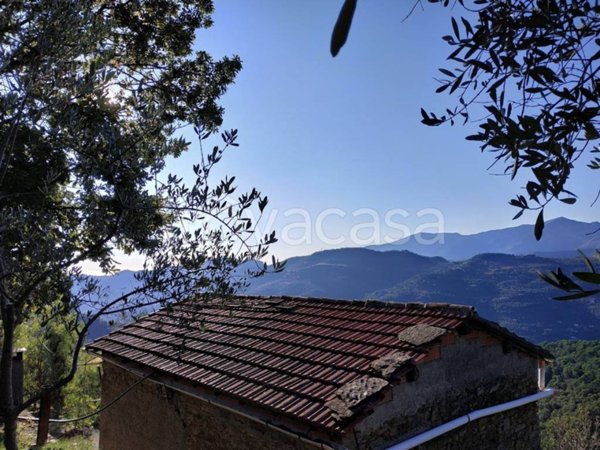 terreno agricolo in vendita a San Biagio della Cima