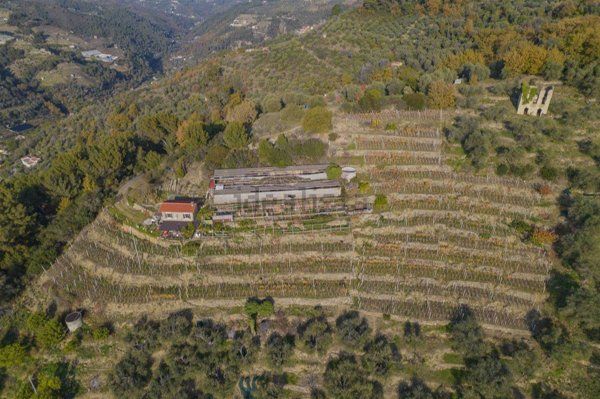 appartamento in vendita a San Biagio della Cima