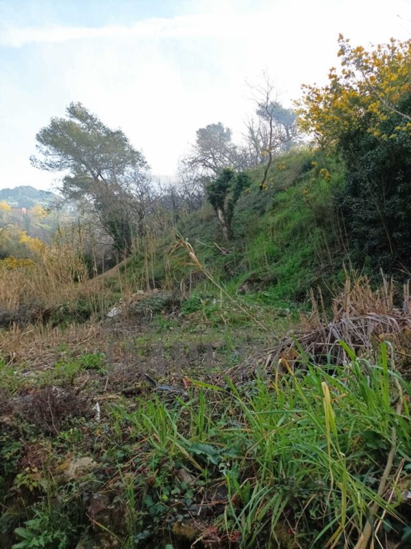 terreno edificabile in vendita a San Biagio della Cima
