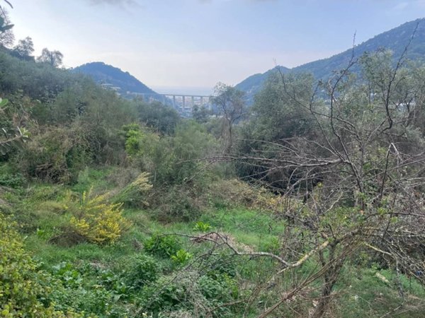 casa indipendente in vendita a San Biagio della Cima