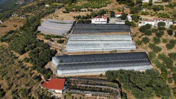 azienda agricola in vendita a San Biagio della Cima
