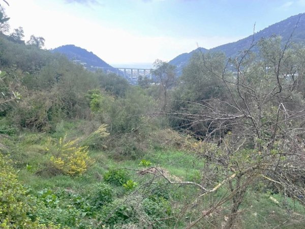 terreno agricolo in vendita a San Biagio della Cima