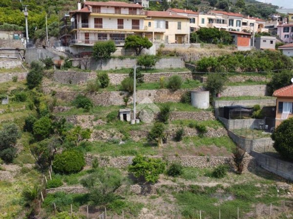 terreno agricolo in vendita a San Biagio della Cima