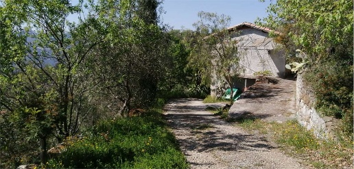 casale in vendita a San Biagio della Cima