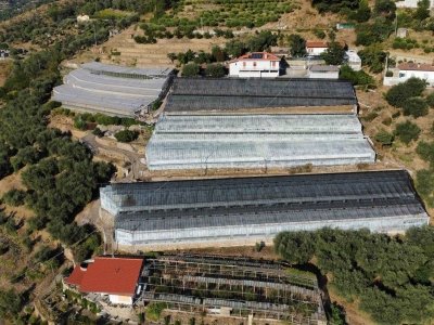 azienda agricola in vendita a San Biagio della Cima