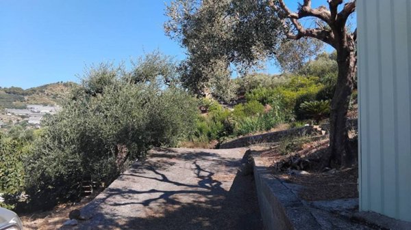 terreno agricolo in vendita a San Biagio della Cima
