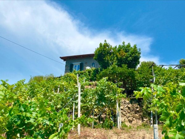 casa indipendente in vendita a San Biagio della Cima