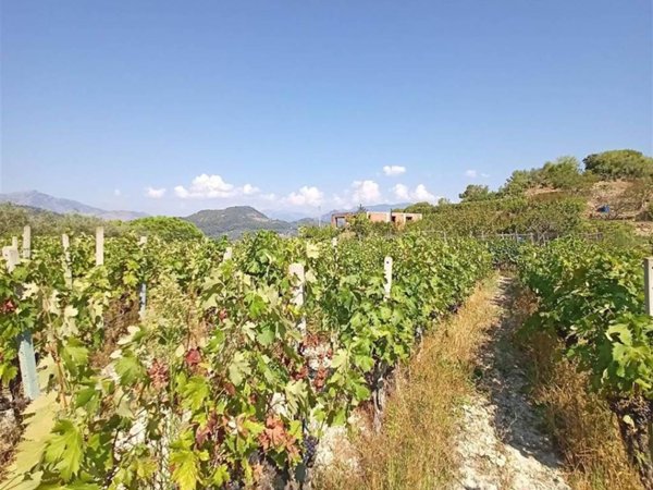 casa indipendente in vendita a San Biagio della Cima