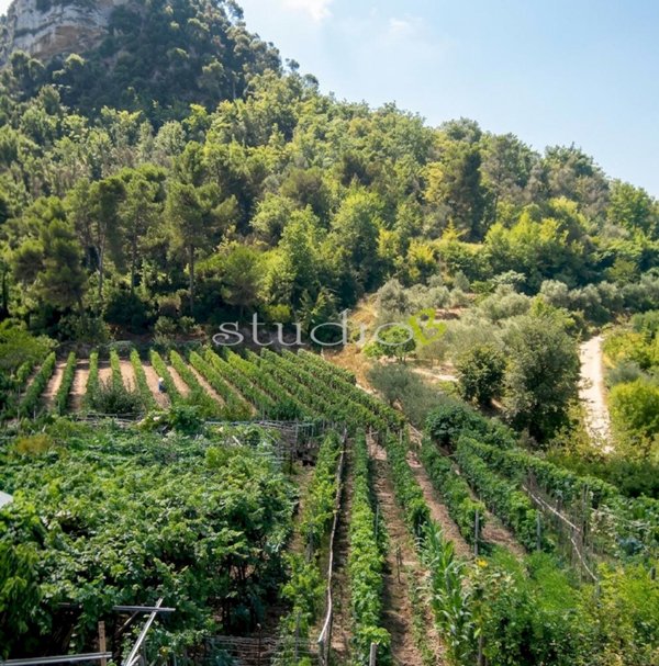casa indipendente in vendita a San Biagio della Cima